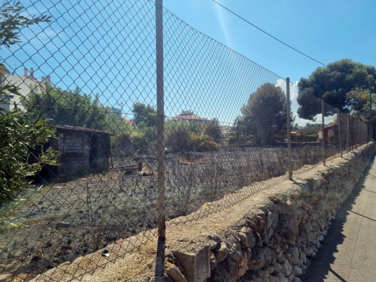 Parcela calcinada por el fuego