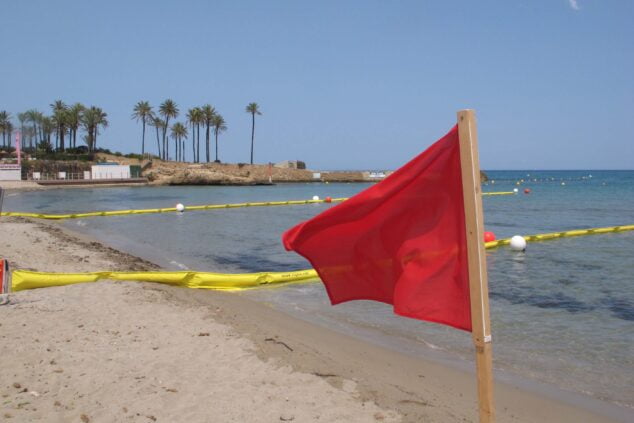 Imagen: Prohíben el baño en la playa del Arenal por episodio de contaminación