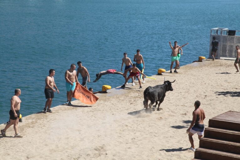 Bous a la Mar Xàbia 2023