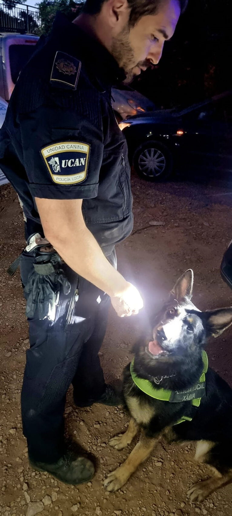 El perro policía Kosmo de la unidad canina que participó en la operación de Xàbia