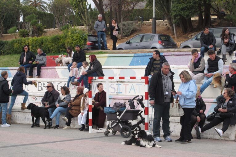 Bendición de animales por Sant Antoni Xàbia (1)