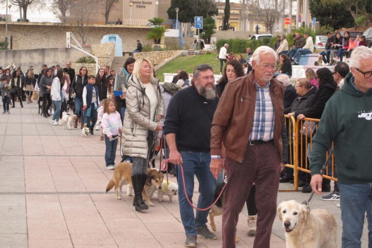 Bendición de animales por Sant Antoni Xàbia (11)