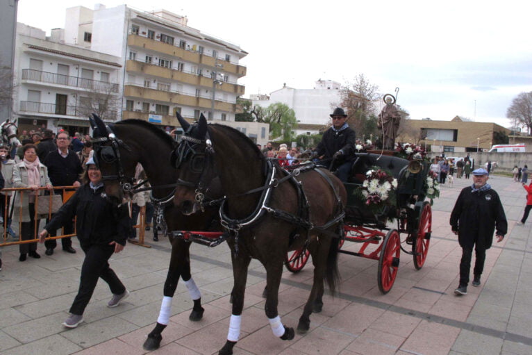 Bendición de animales por Sant Antoni Xàbia (2)