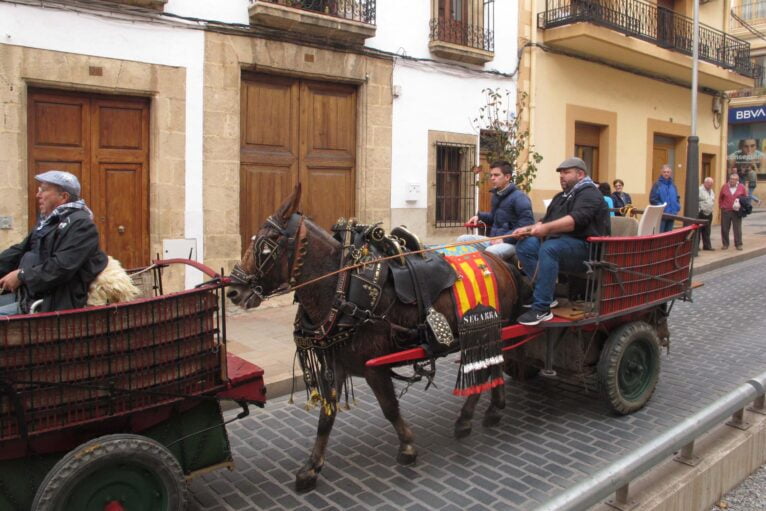 Desfile de Caballerías en honor a Sant Antoni Xàbia 2024 (4)