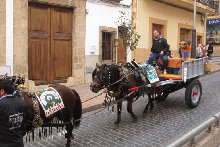 Desfile de Caballerías en honor a Sant Antoni Xàbia 2024 (5)