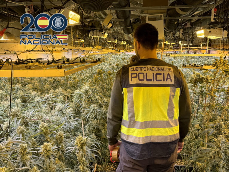 Policía Nacional desarticula una banda criminal dedicada al cultivo y venta de marihuana indoor