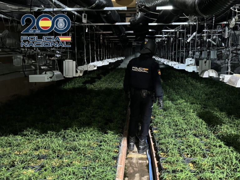 Incautan más de 6.000 plantas de marihuana en el interior de una nave industrial