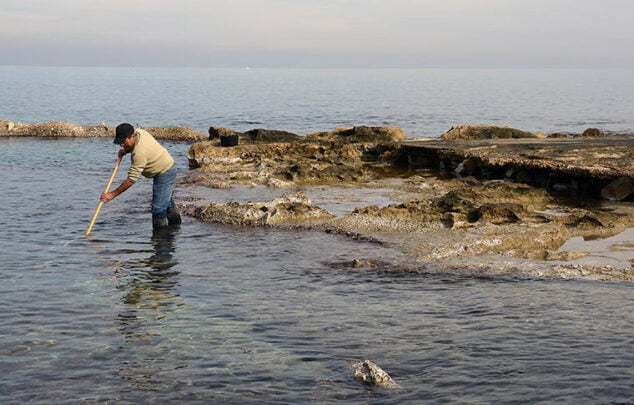 Imagen: Pescador extrayendo erizos de mar | Foto archivo