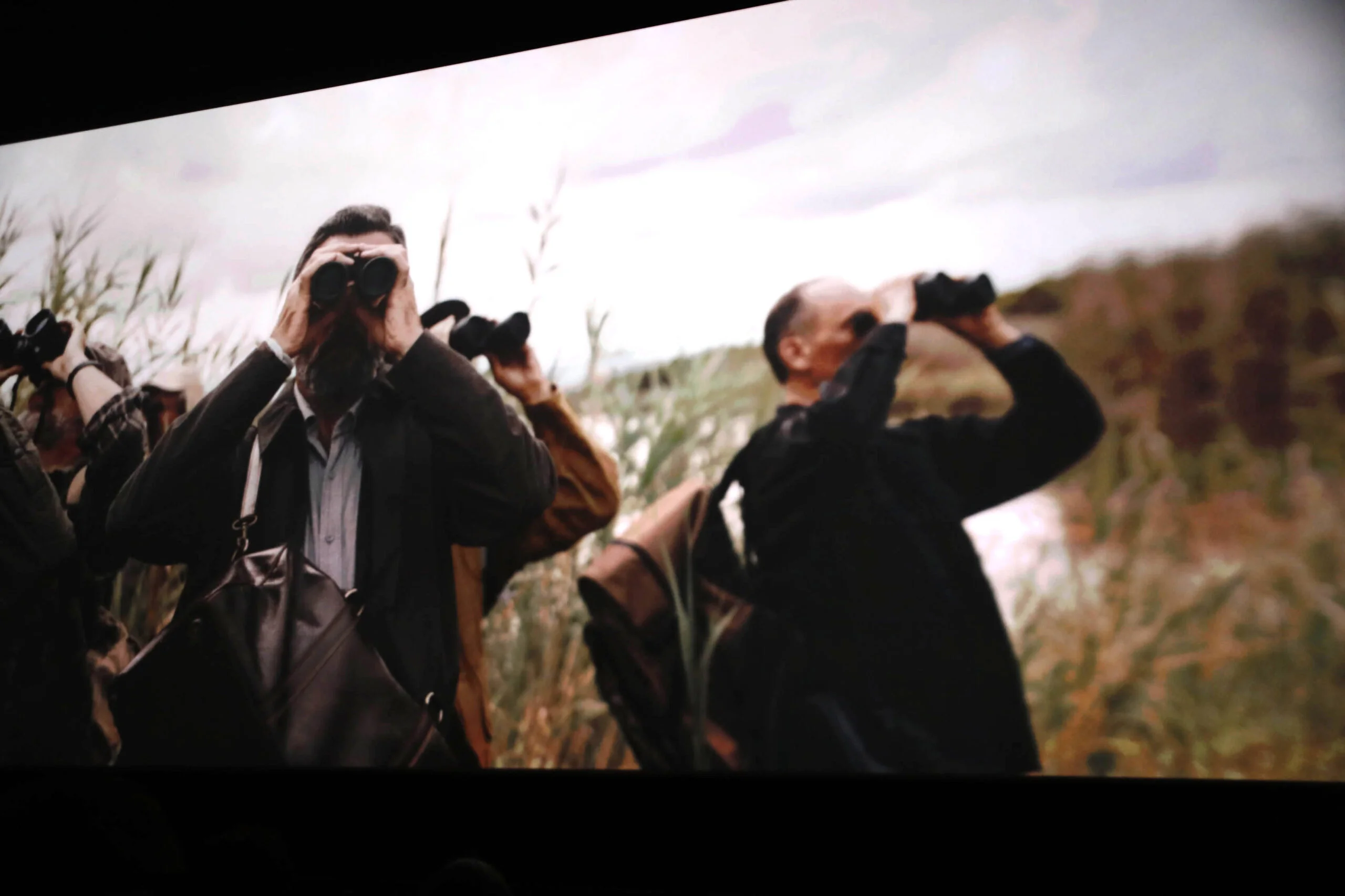 Una de las escenas de la película ‘Pajaros’ de Pau Durà en el preestreno del Cine Jayan