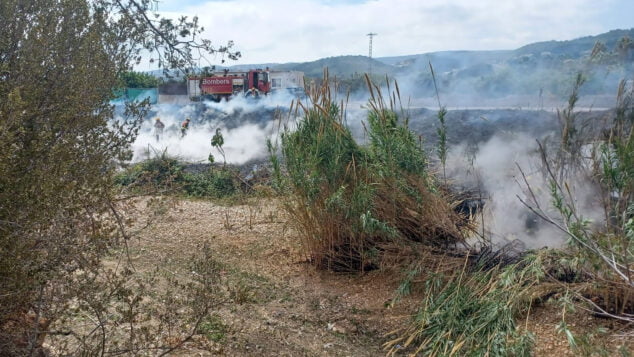 Imagen: Bomberos extinguiendo las llamas del cañar en Xàbia