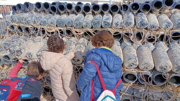 Escolares del CEIP Port de Xàbia aprenden sobre el mar