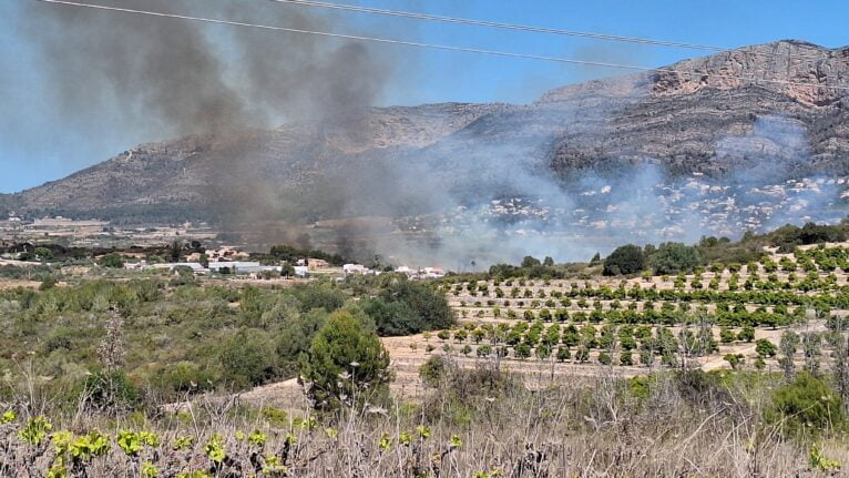 Gran humareda del incendio de vegetación y cañar en Xàbia