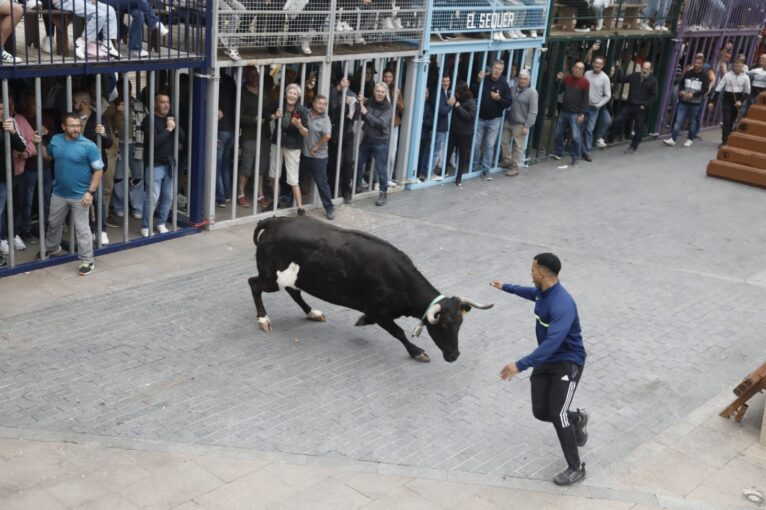 Gran ambiente en la primera sesión taurina de bous al carrer de Xàbia en las fiestas del Nazareno 2024