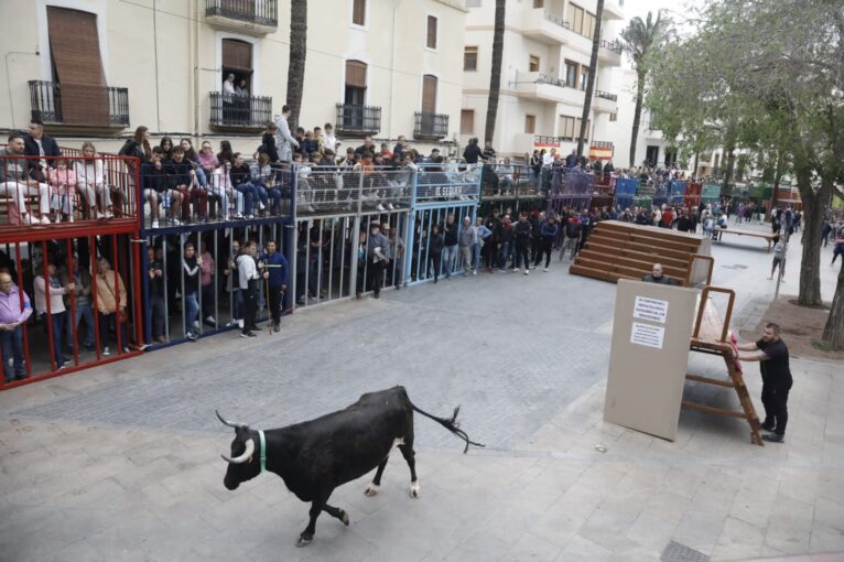 Primera sesión taurina de las fiestas de Jesús Nazareno de Xàbia 2024