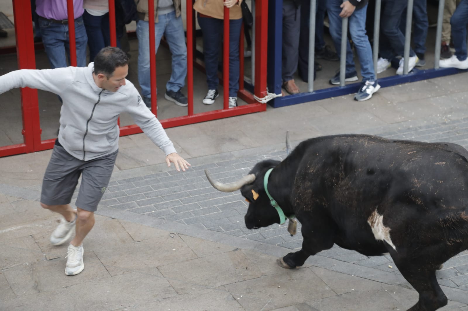 Gran ambiente en la primera sesión taurina de bous al carrer de Xàbia en las fiestas del Nazareno 2024