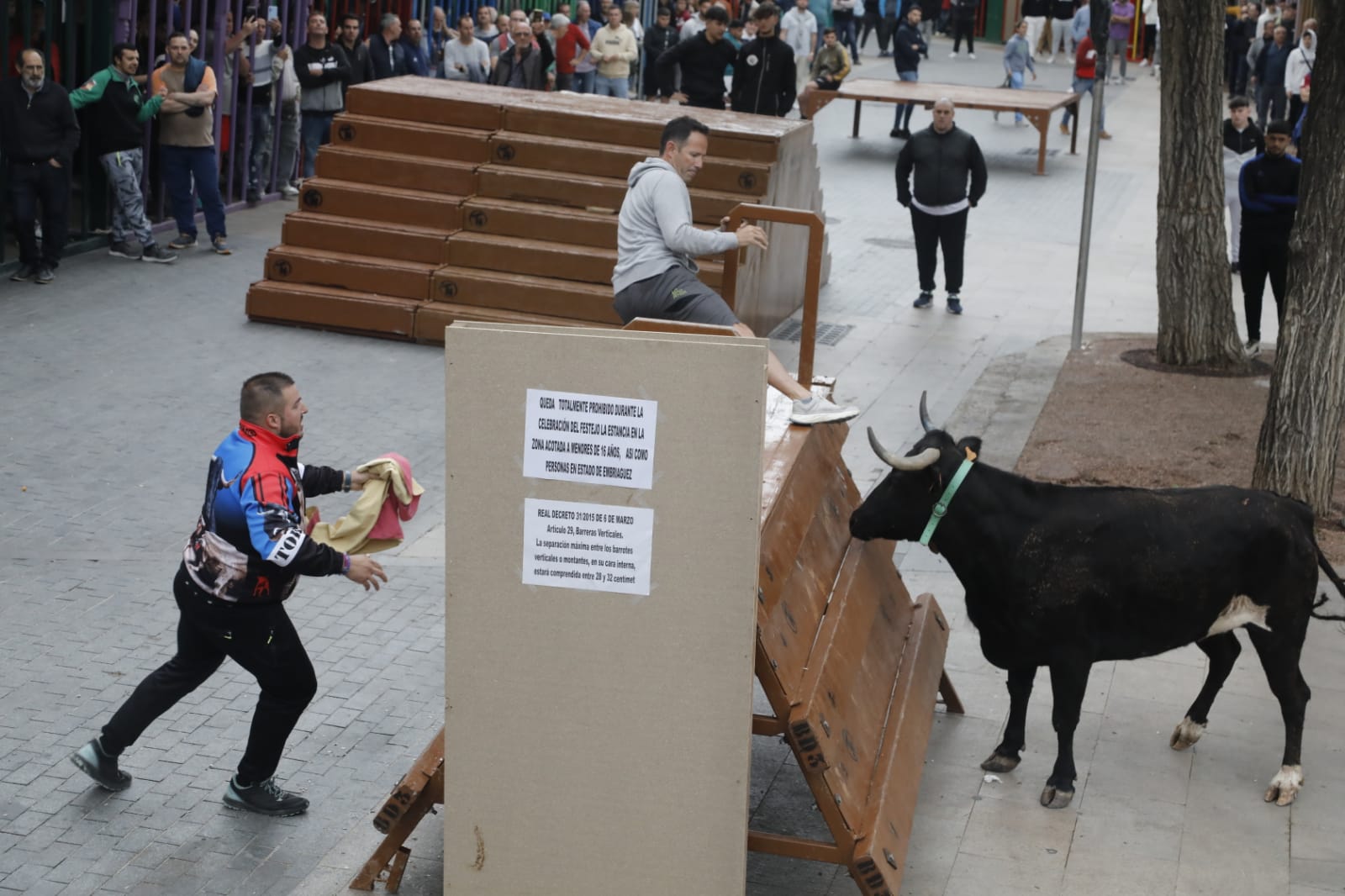 Aficionados a los toros juegan con la res en Xàbia