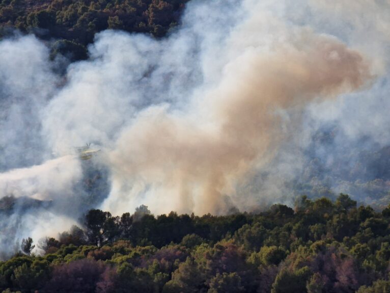 Incendio en el Montgó de Xàbia (1)