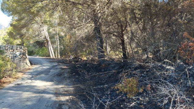 Imagen: Una de las zonas quemadas por el incendio originado en la falda del Montgó de Xàbia