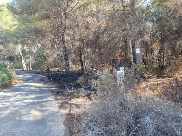 Imagen: Zona afectada del incendio de la falda del Montgó