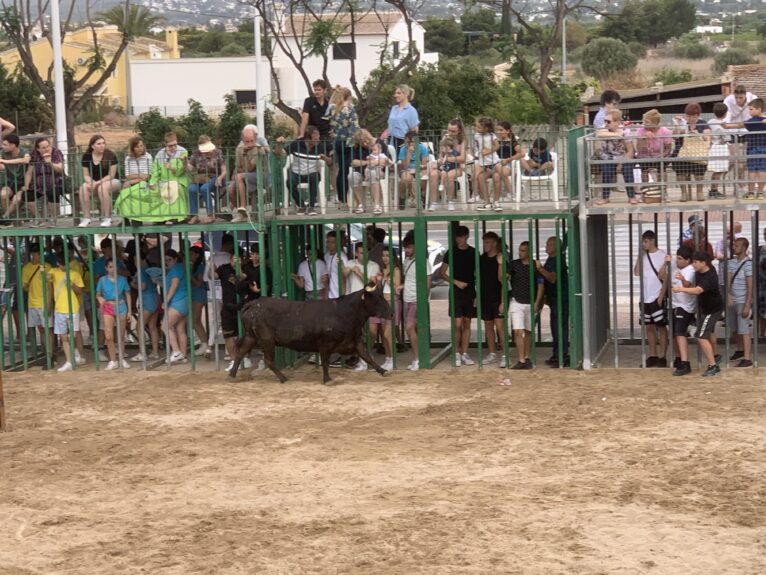 Ambiente en la sesión taurina de Fogueres Xàbia 2024 (11)