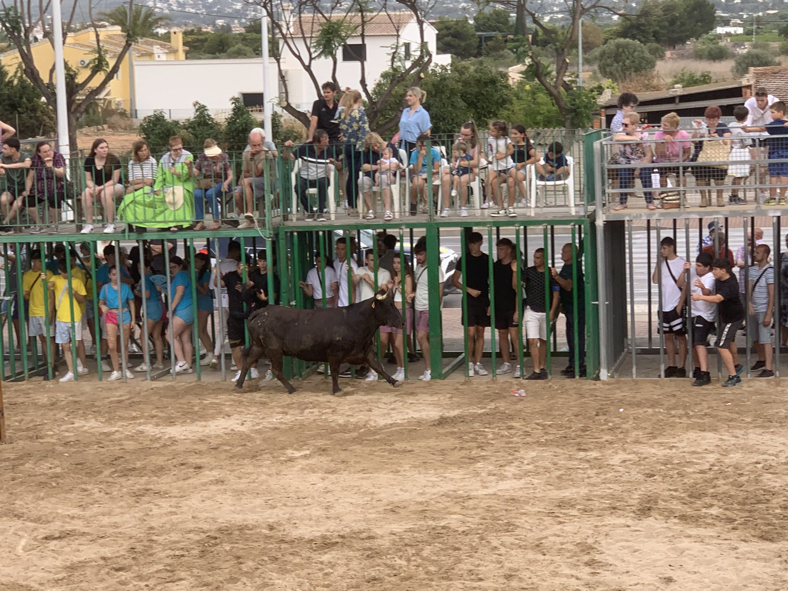 Ambiente en la sesión taurina de Fogueres Xàbia 2024 (11)