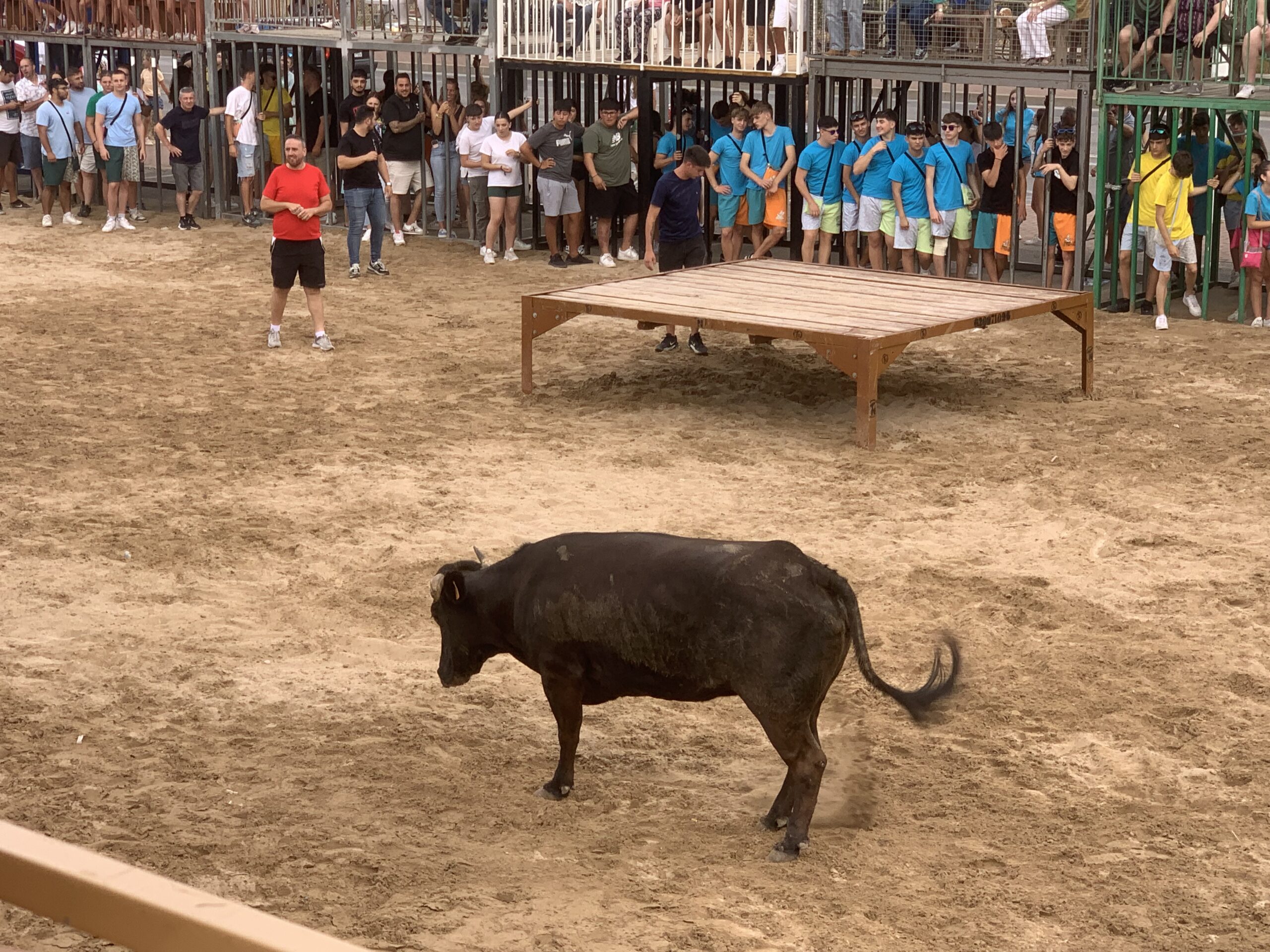 Ambiente en la sesión taurina de Fogueres Xàbia 2024 (14)