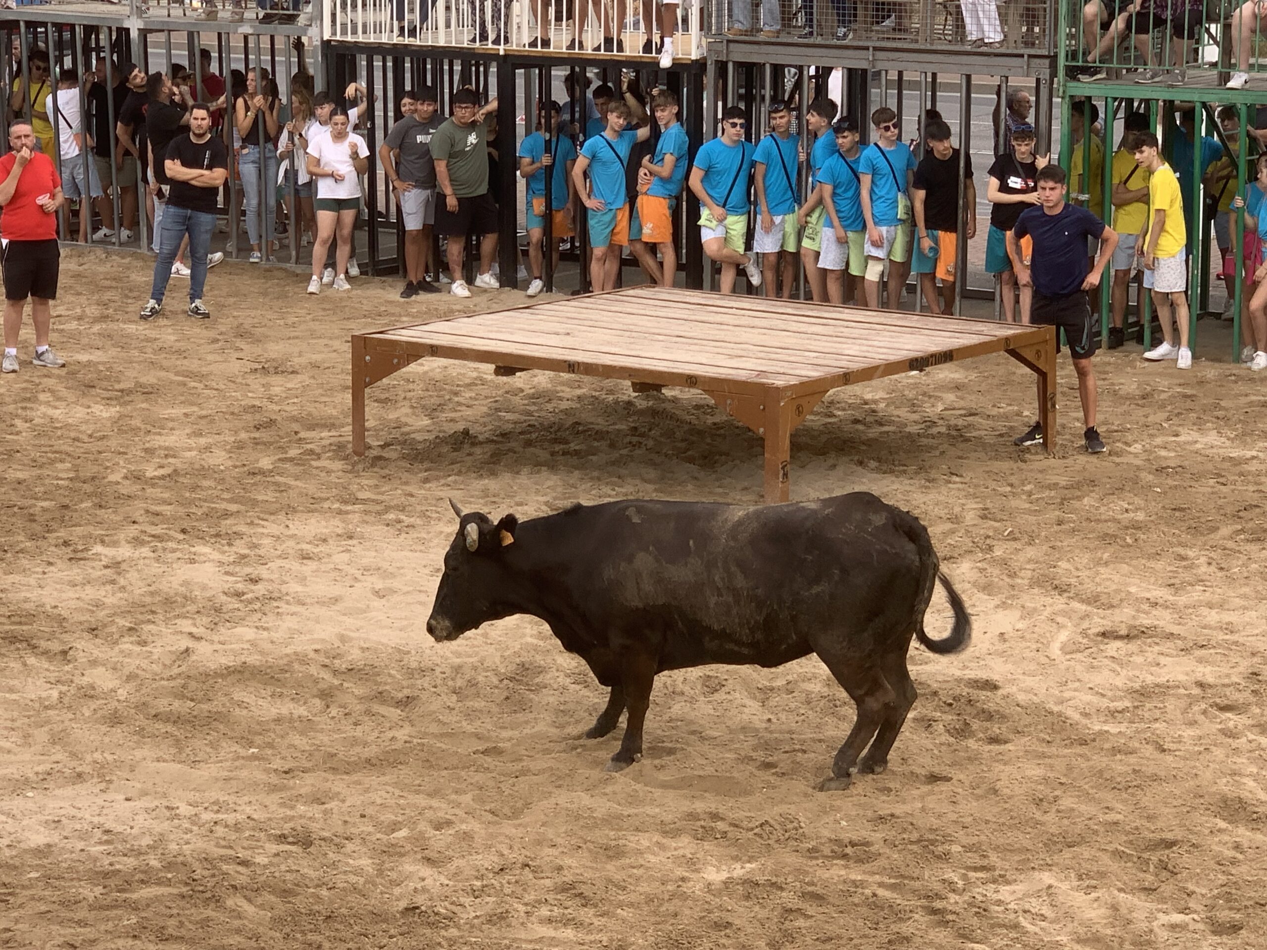 Ambiente en la sesión taurina de Fogueres Xàbia 2024 (16)