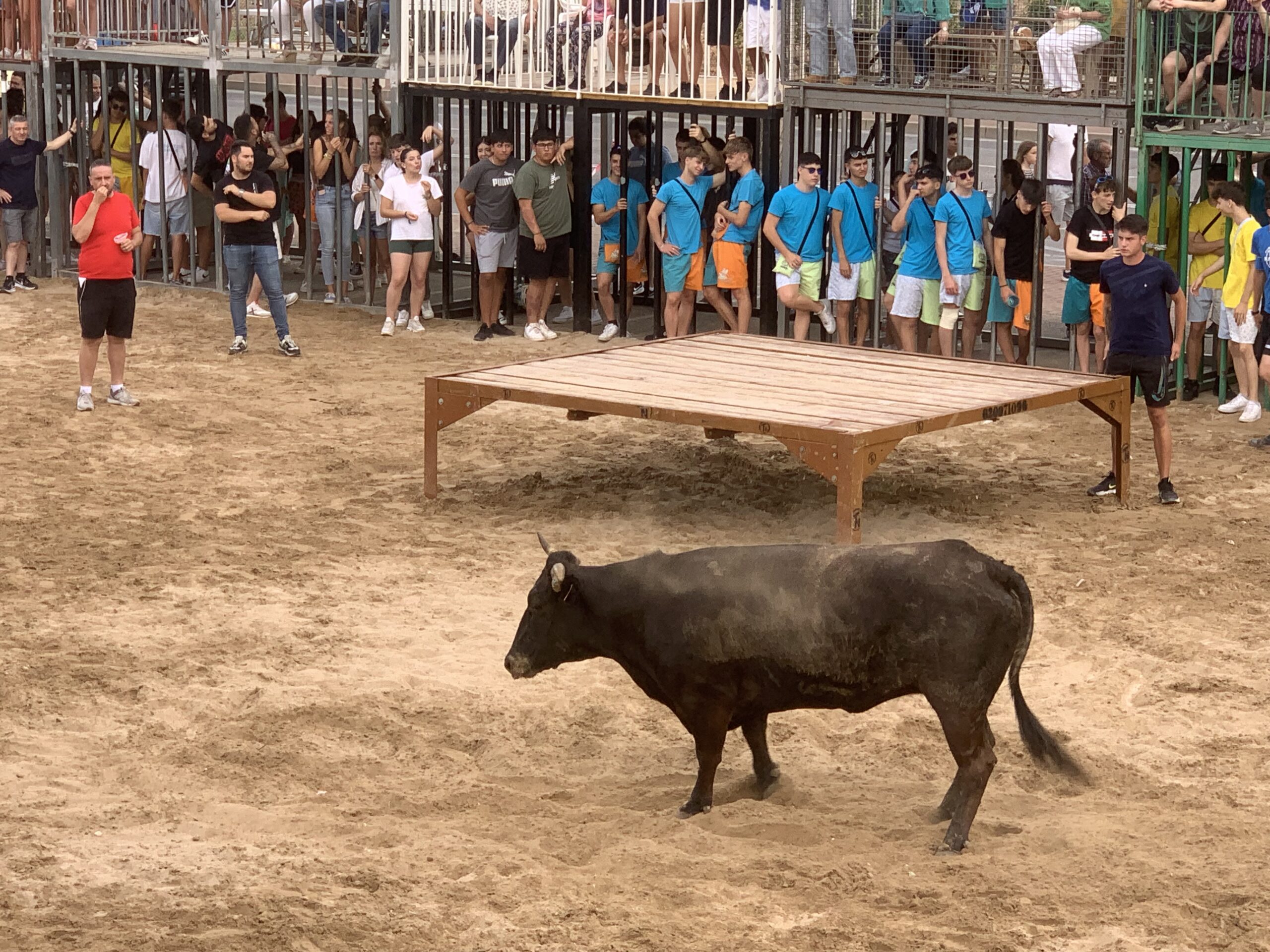 Ambiente en la sesión taurina de Fogueres Xàbia 2024 (17)