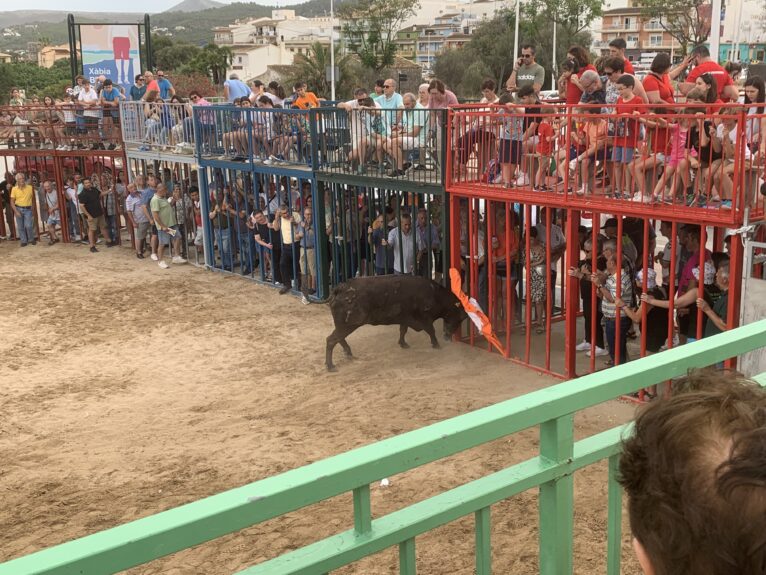 Ambiente en la sesión taurina de Fogueres Xàbia 2024 (20)