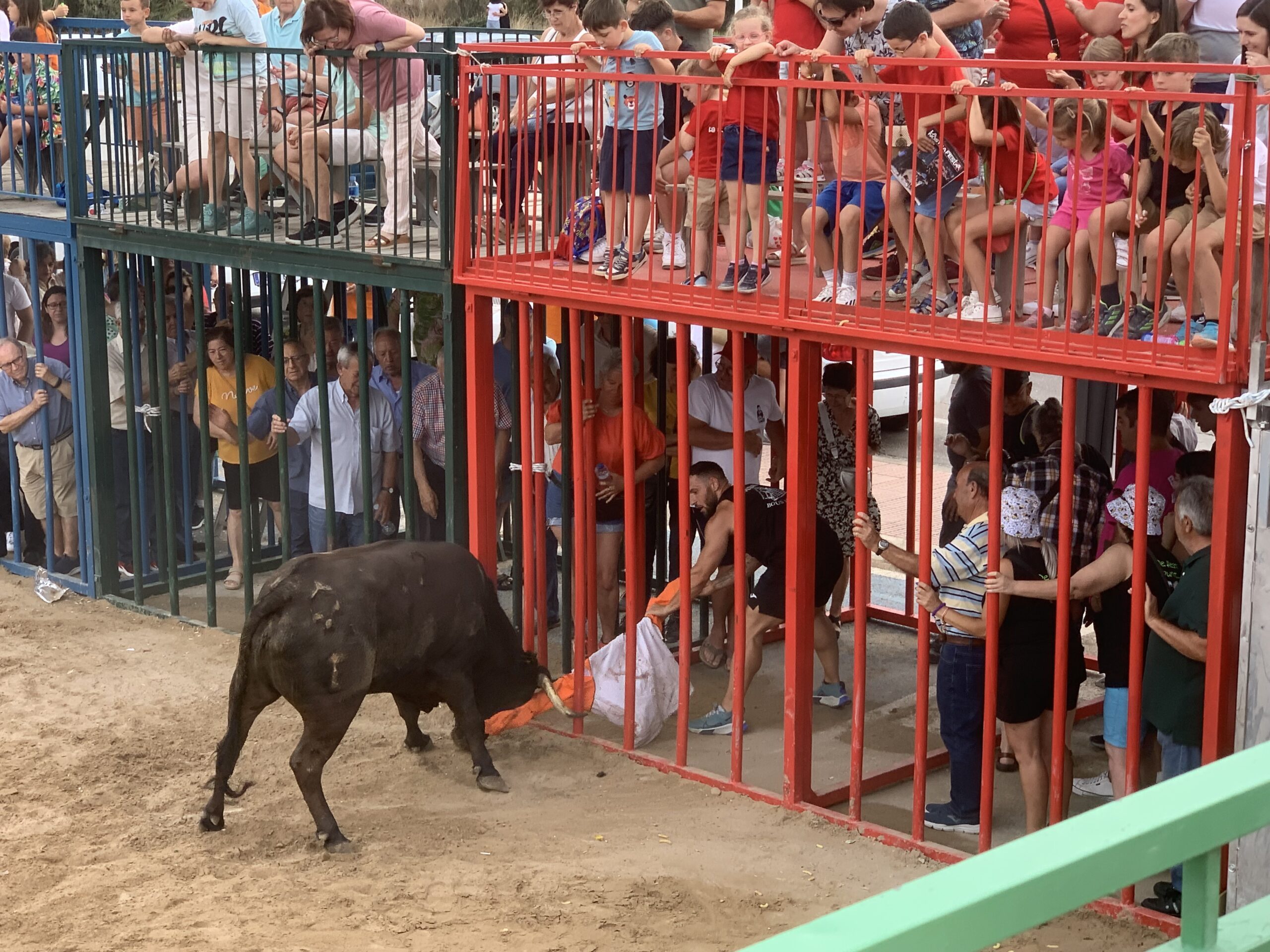 Ambiente en la sesión taurina de Fogueres Xàbia 2024 (21)