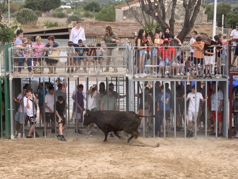 Ambiente en la sesión taurina de Fogueres Xàbia 2024 (24)