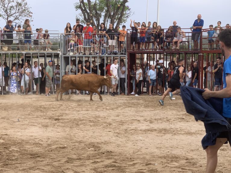 Ambiente en la sesión taurina de Fogueres Xàbia 2024 (27)