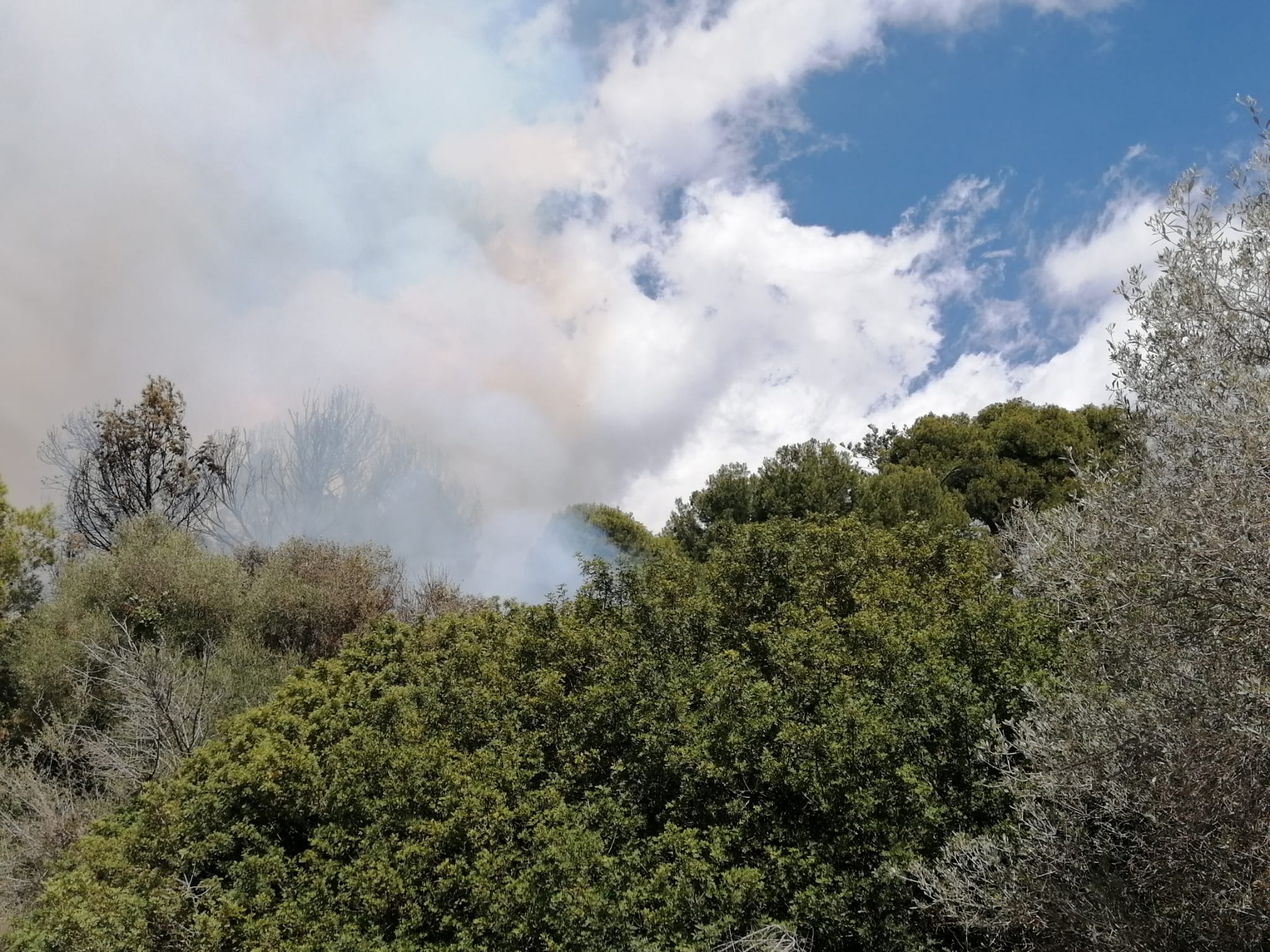 Humareda del incendio declarada en una parcela de Xàbia