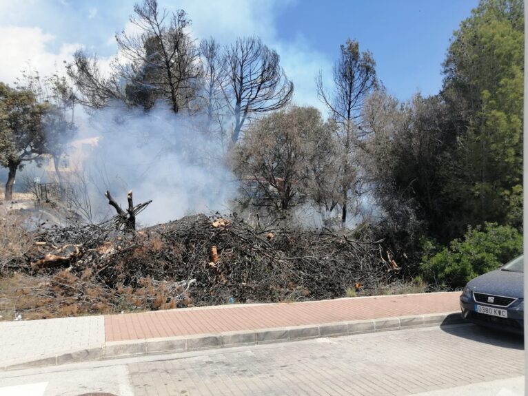 Parcela donde se ha producido el incendio