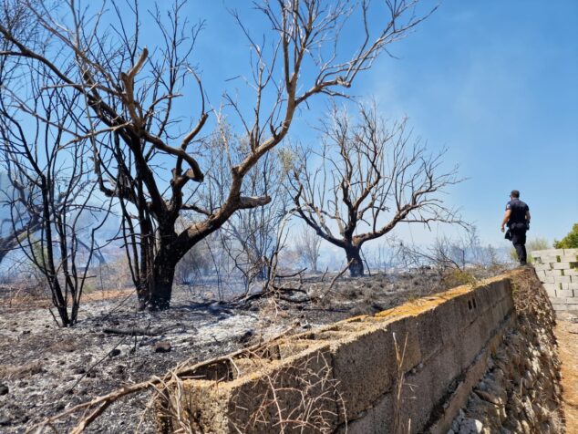 Imagen: Incendio en una parcela de Xàbia