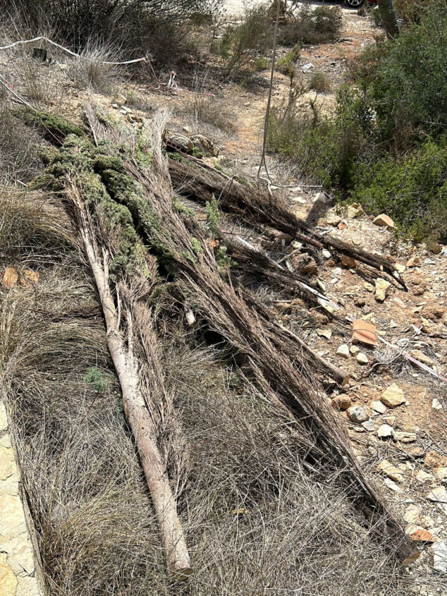 Imagen: Vertido de residuos verdes en el Parque Natural del Montgó