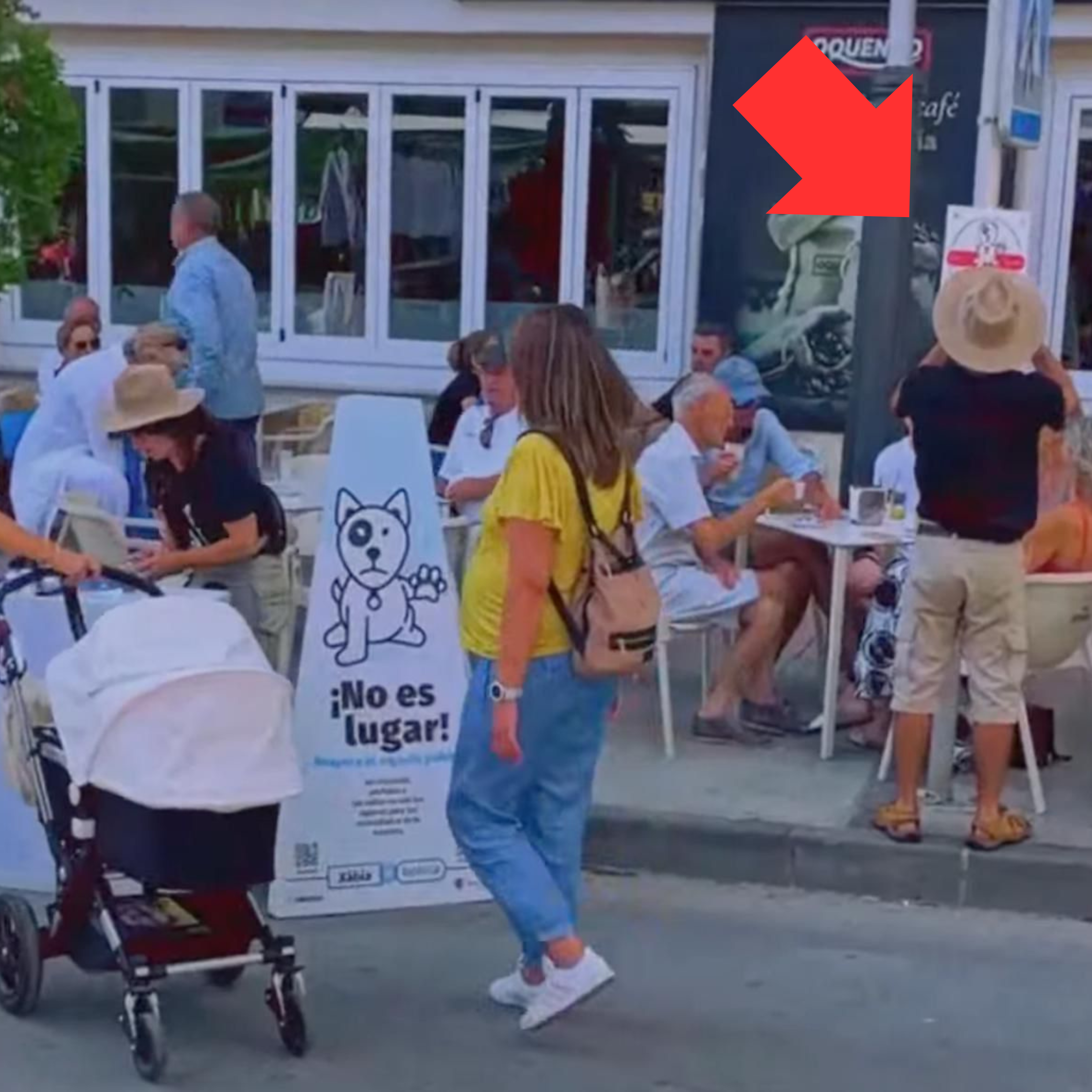 Farolas con carteles de la campaña de mascotas