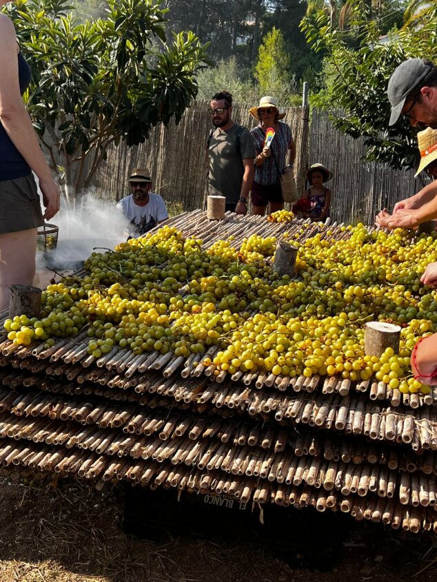 Imagen: Proceso de l'escaldà de la pansa a Xàbia | Foto Olimpia Bas