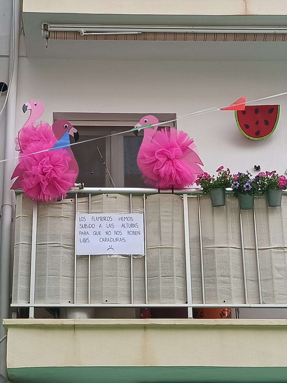 Cuelgan los flamencos en los balcones para evitar el robo de este engalanado de la calle