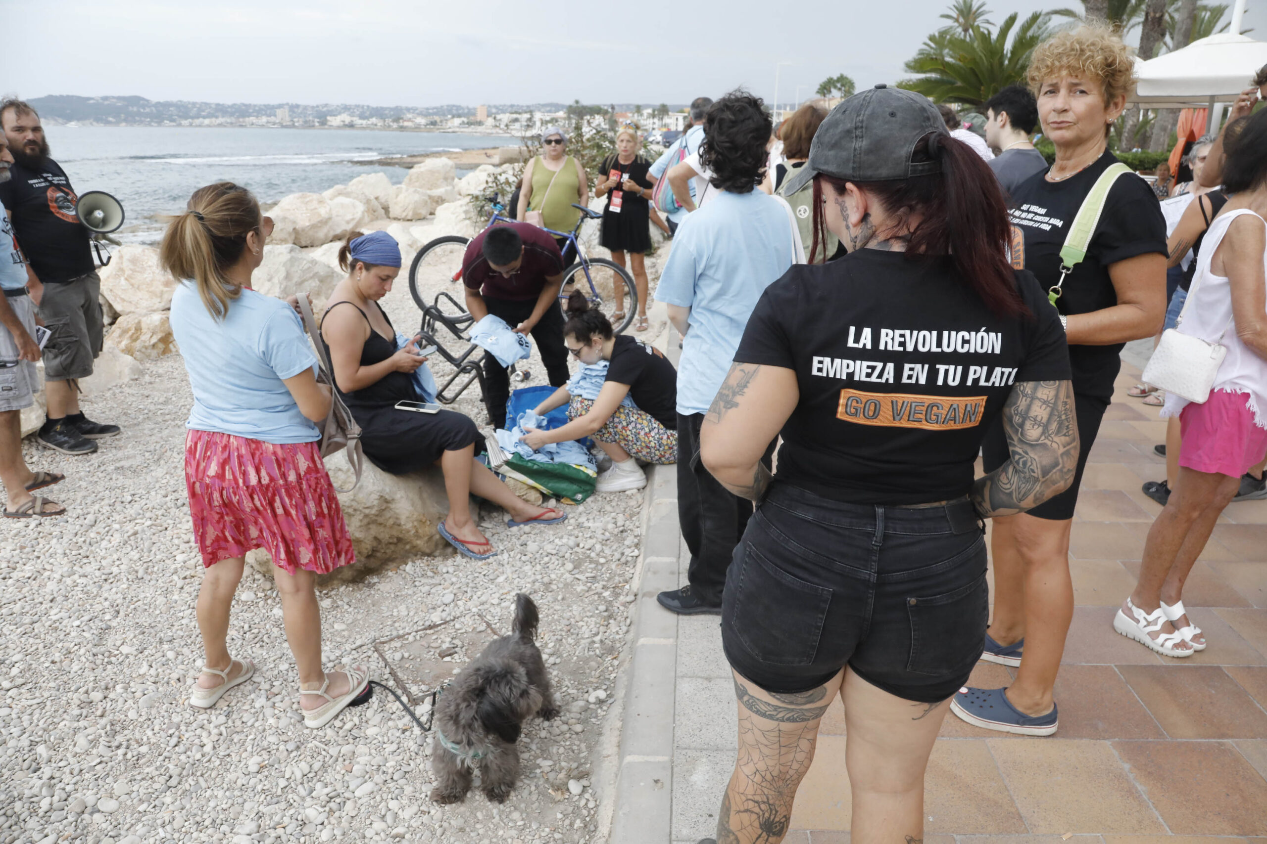 Manifestación antitaurina en Xàbia (2)