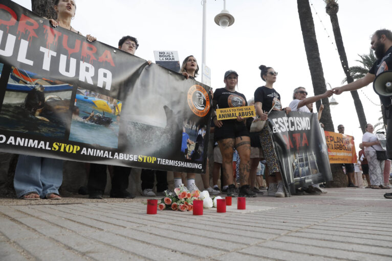 Manifestación antitaurina en Xàbia (31)