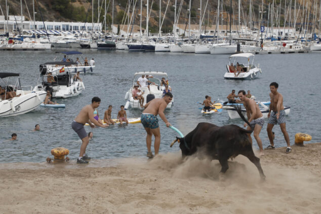 Imagen: Bous a la Mar Xàbia | Foto archivo