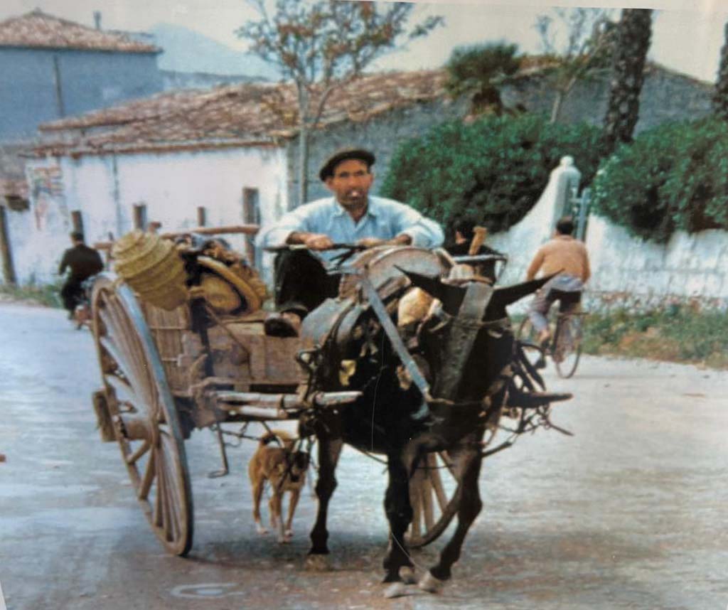 Carro tradicional a su paso por el Montañar en 1959