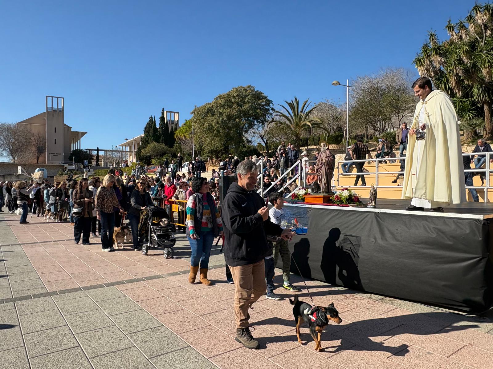 Bendición de los animales por Sant Antoni en Xàbia 2025 (10)