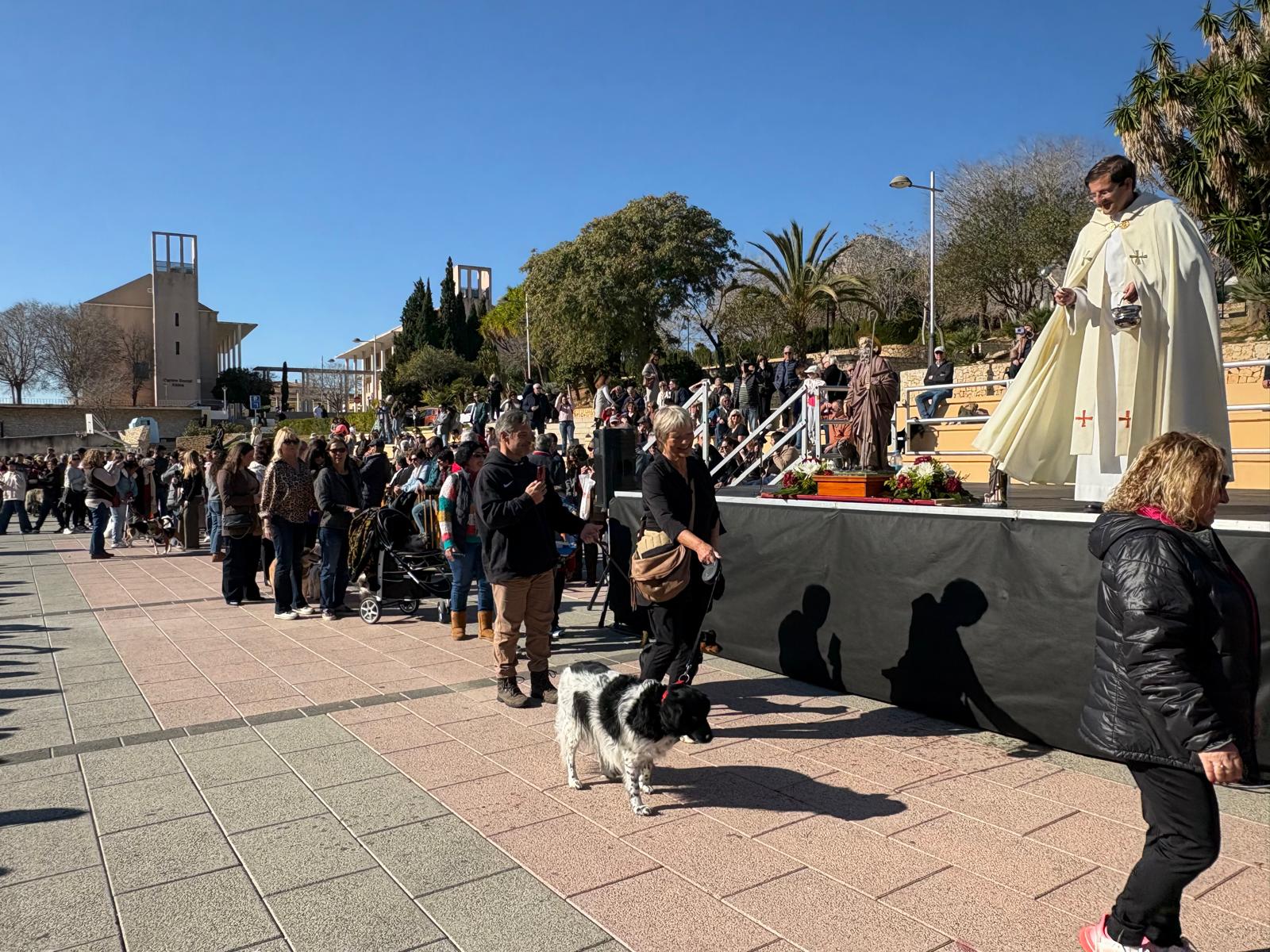 Bendición de los animales por Sant Antoni en Xàbia 2025 (11)