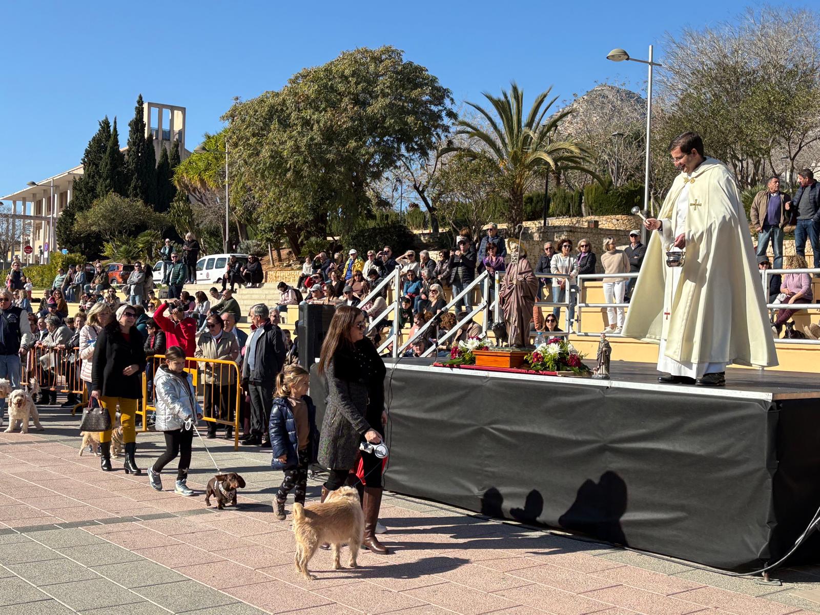 Bendición de los animales por Sant Antoni en Xàbia 2025 (17)