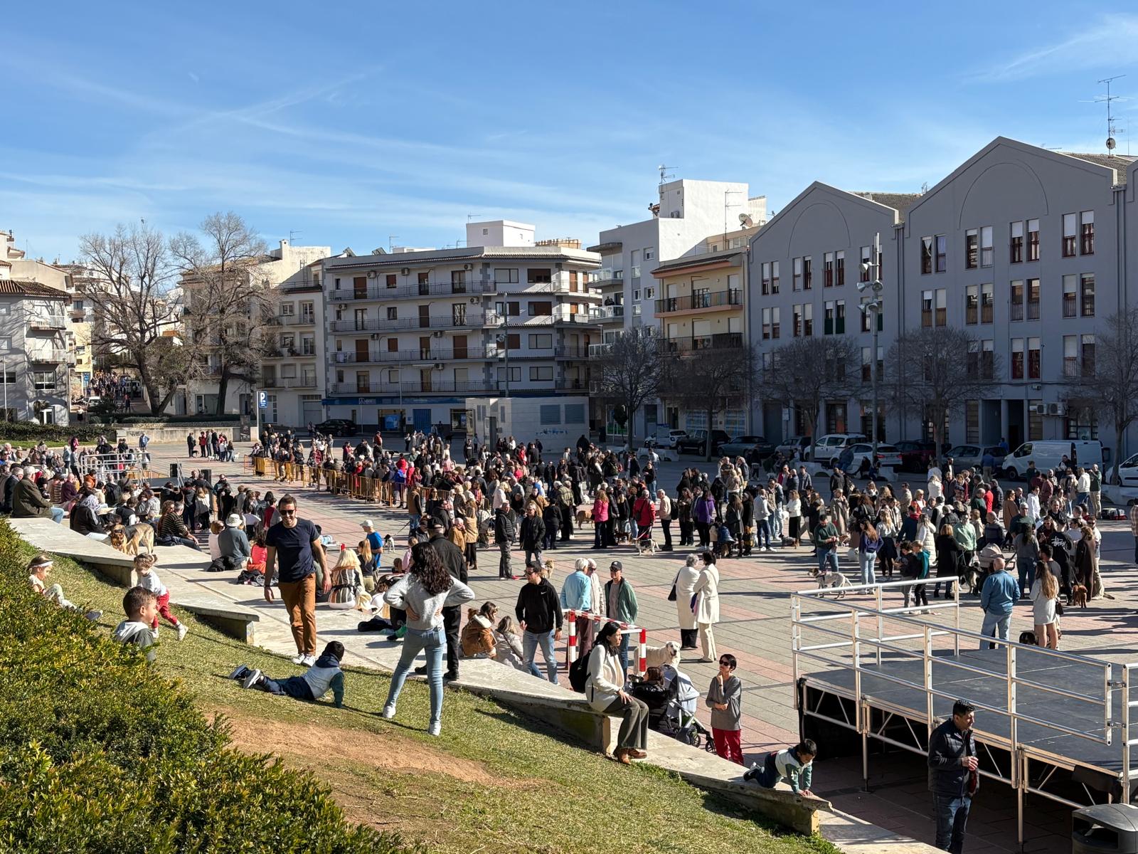 Bendición de los animales por Sant Antoni en Xàbia 2025 (26)