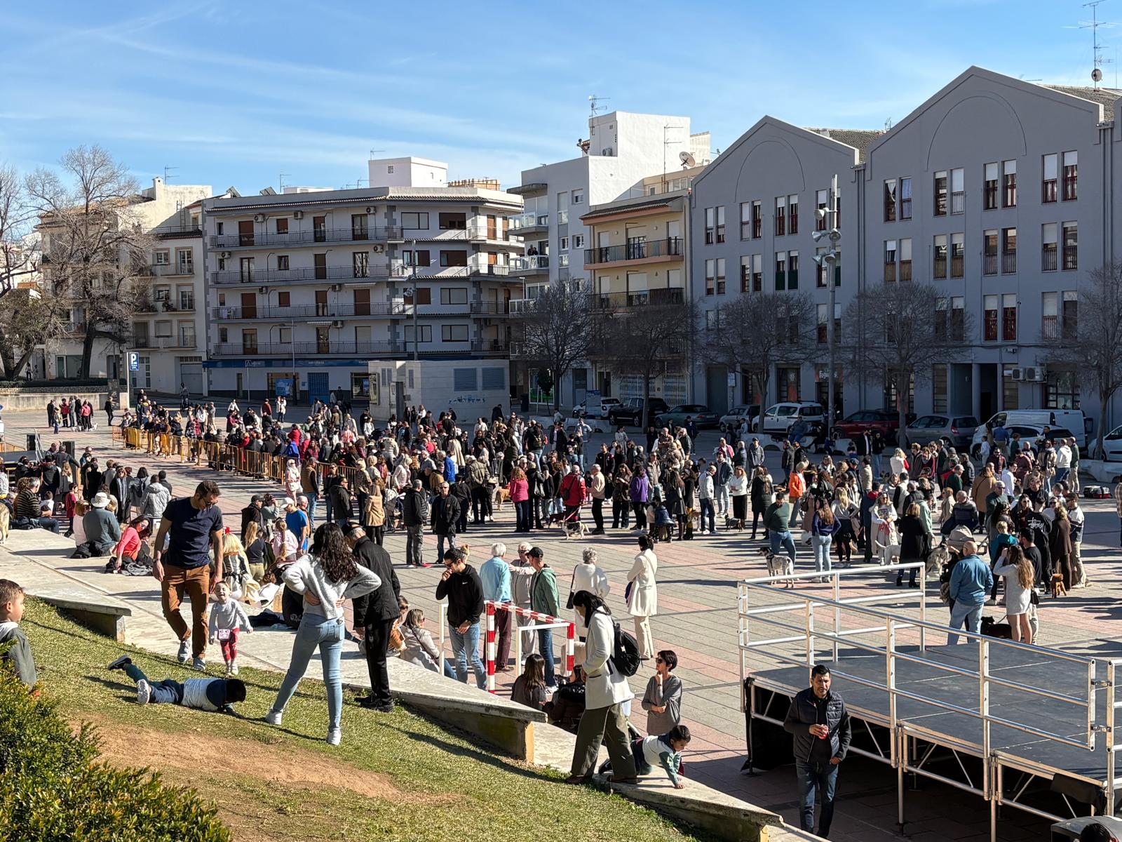 Bendición de los animales por Sant Antoni en Xàbia 2025 (27)