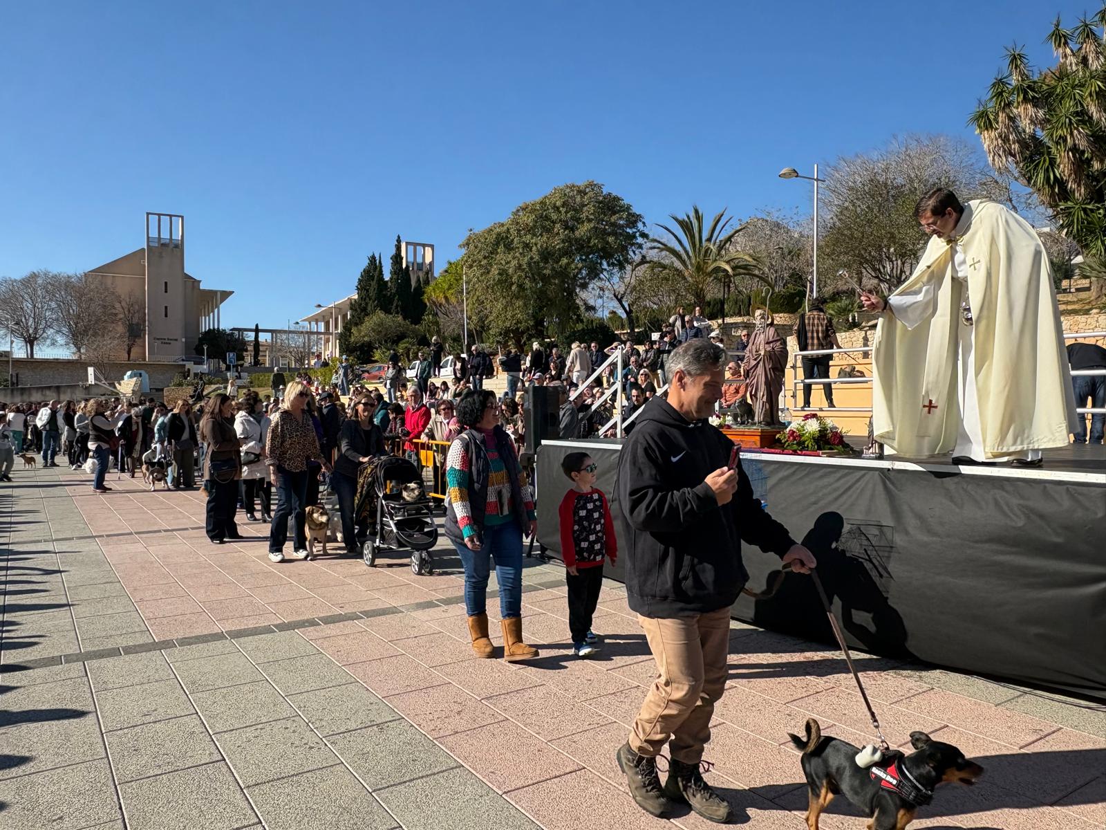 Bendición de los animales por Sant Antoni en Xàbia 2025 (9)