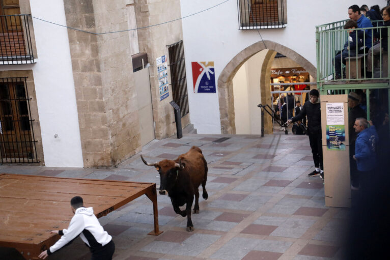 Sesión taurina en las fiestas de Sant Sebastià Xàbia 2025 (1)